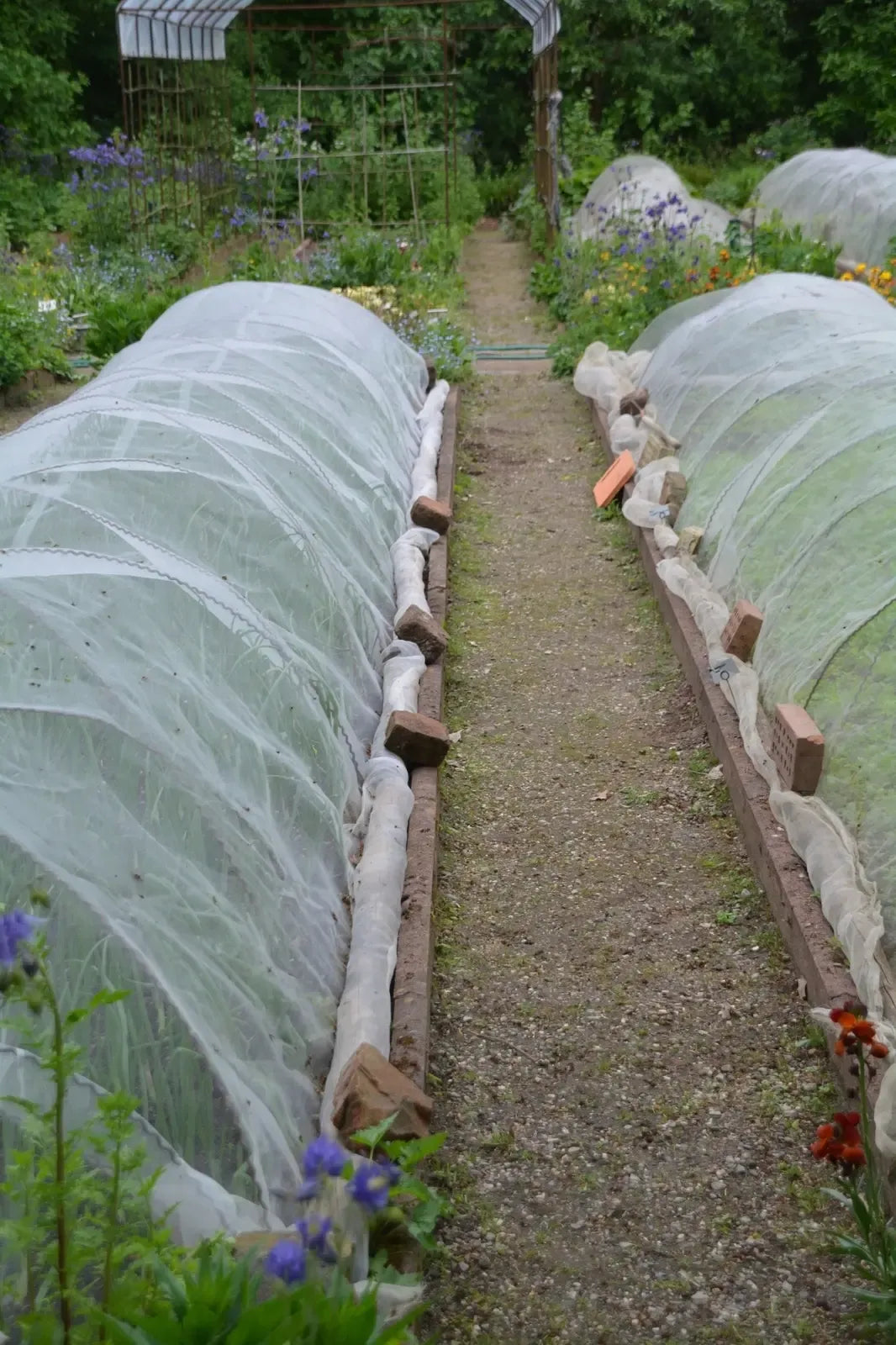 Baltos pavasarinės agroplėvelės 1,6 x 10 m, 17 g/m², tinkama augalų apsaugai ir šilumos laikymui.