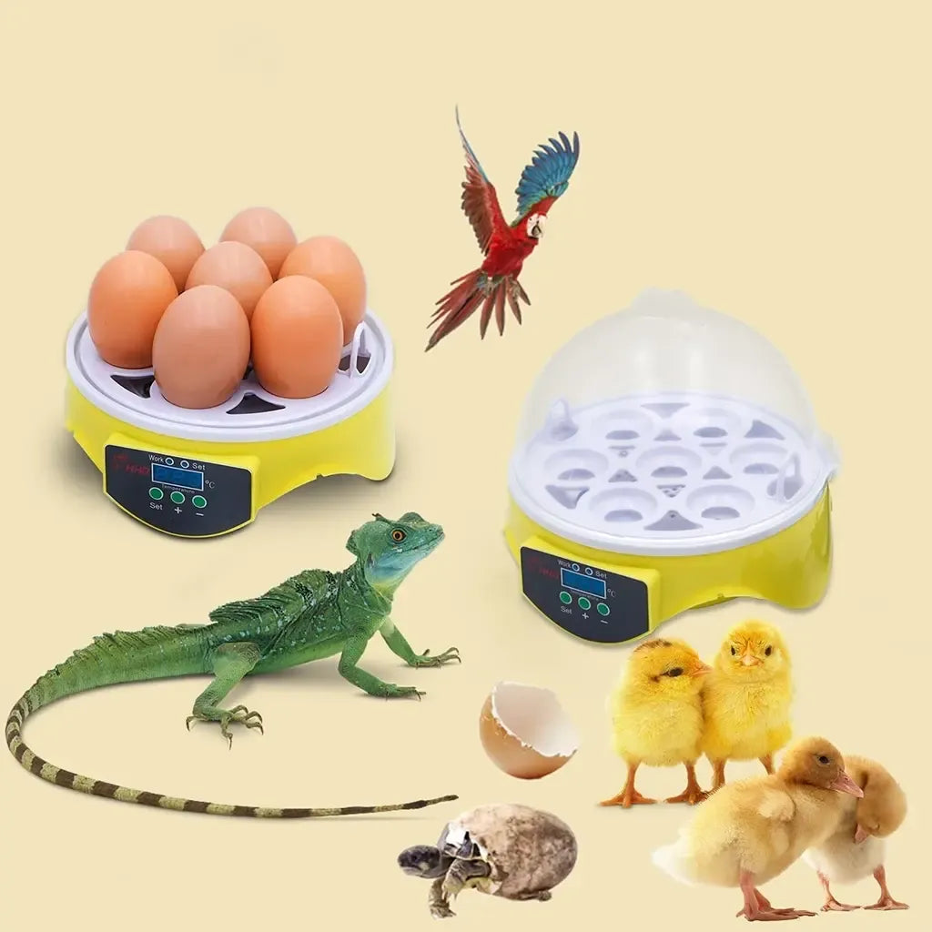 Mini inkubatorius 7 kiaušiniams su skaitmeniniu temperatūros valdymu, tvirtas ir patogus kiaušinių inkubavimui namuose