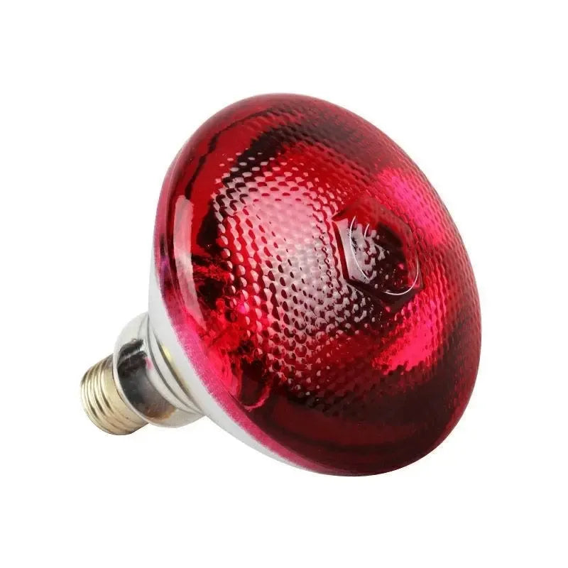 Infraraudonųjų spindulių 175W šildymo lemputė vištoms ir ūkiniams gyvūnams, skirta šilumai ir komfortui užtikrinti.