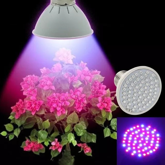 5W taimede kasvatamise lamp