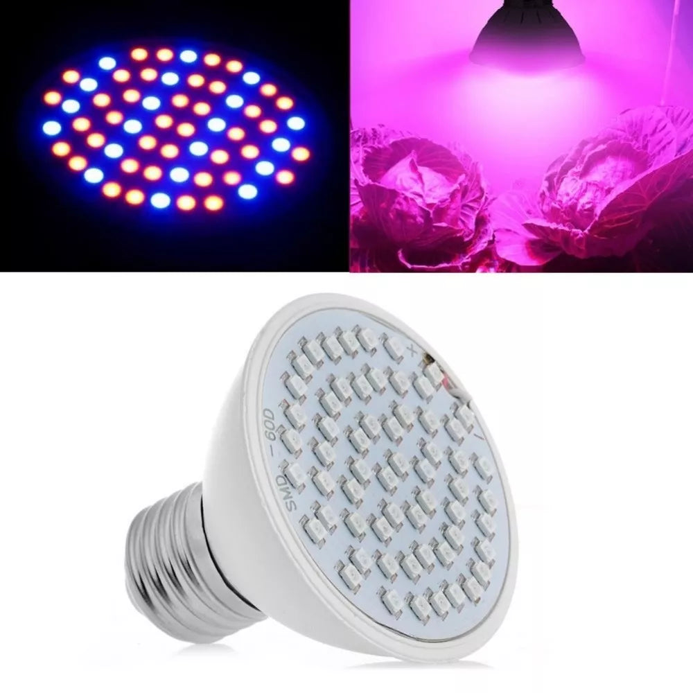 5W taimede kasvatamise lamp