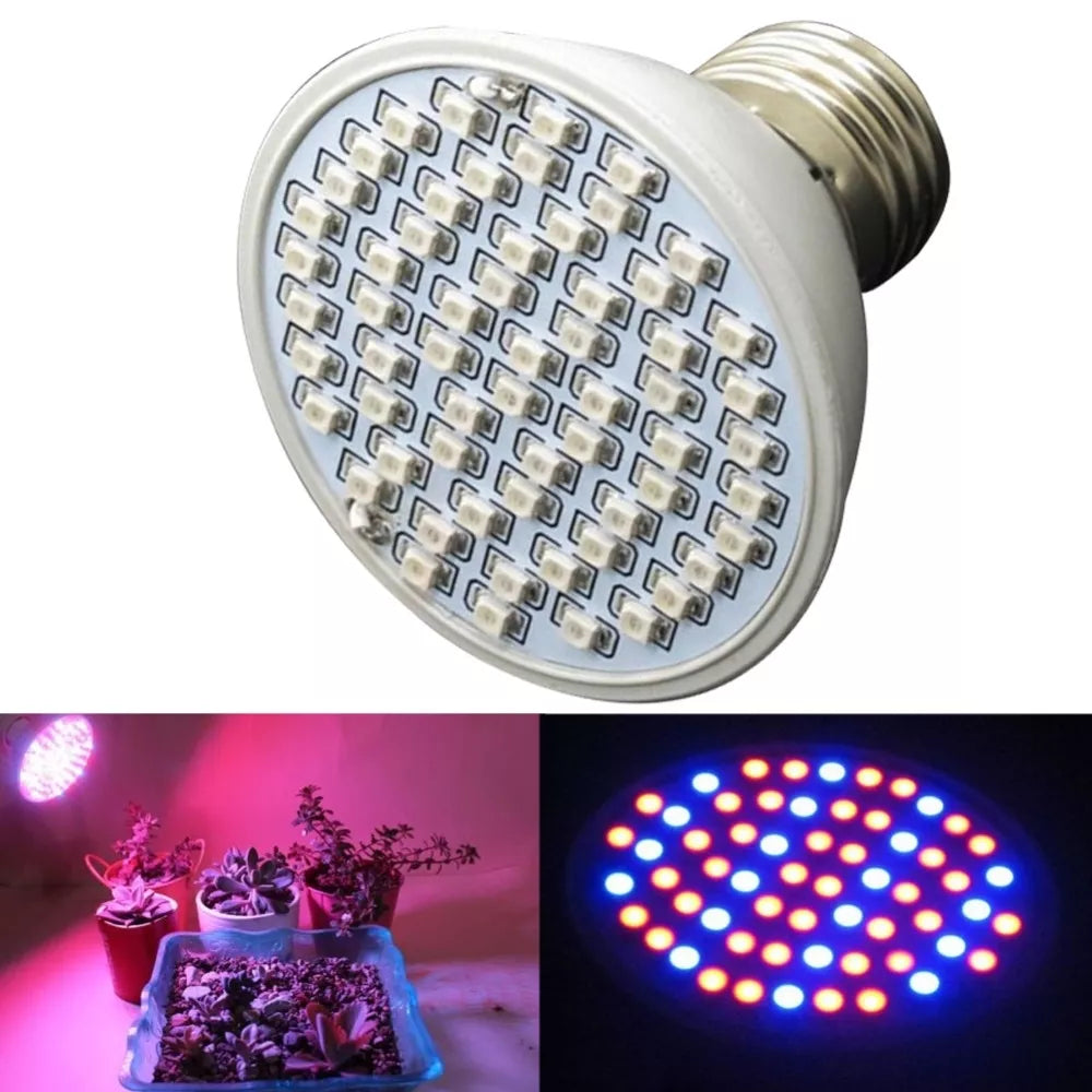 5W taimede kasvatamise lamp