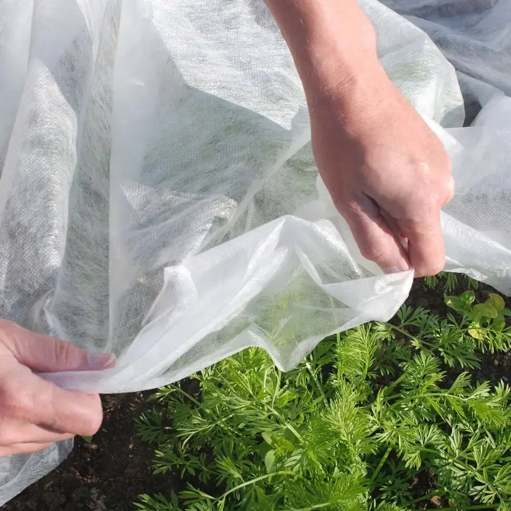Baltos pavasarinės agroplėvelės 1,6 x 10 m, 17 g/m², apsauganti nuo šalčio ir saulės spindulių, naudinga sodininkystei.