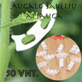 Augalo šakelių laikikliai, 50 vnt., plastikiniai ir universalūs, tinkami augalų apsaugai ir stabilumui sodinant.