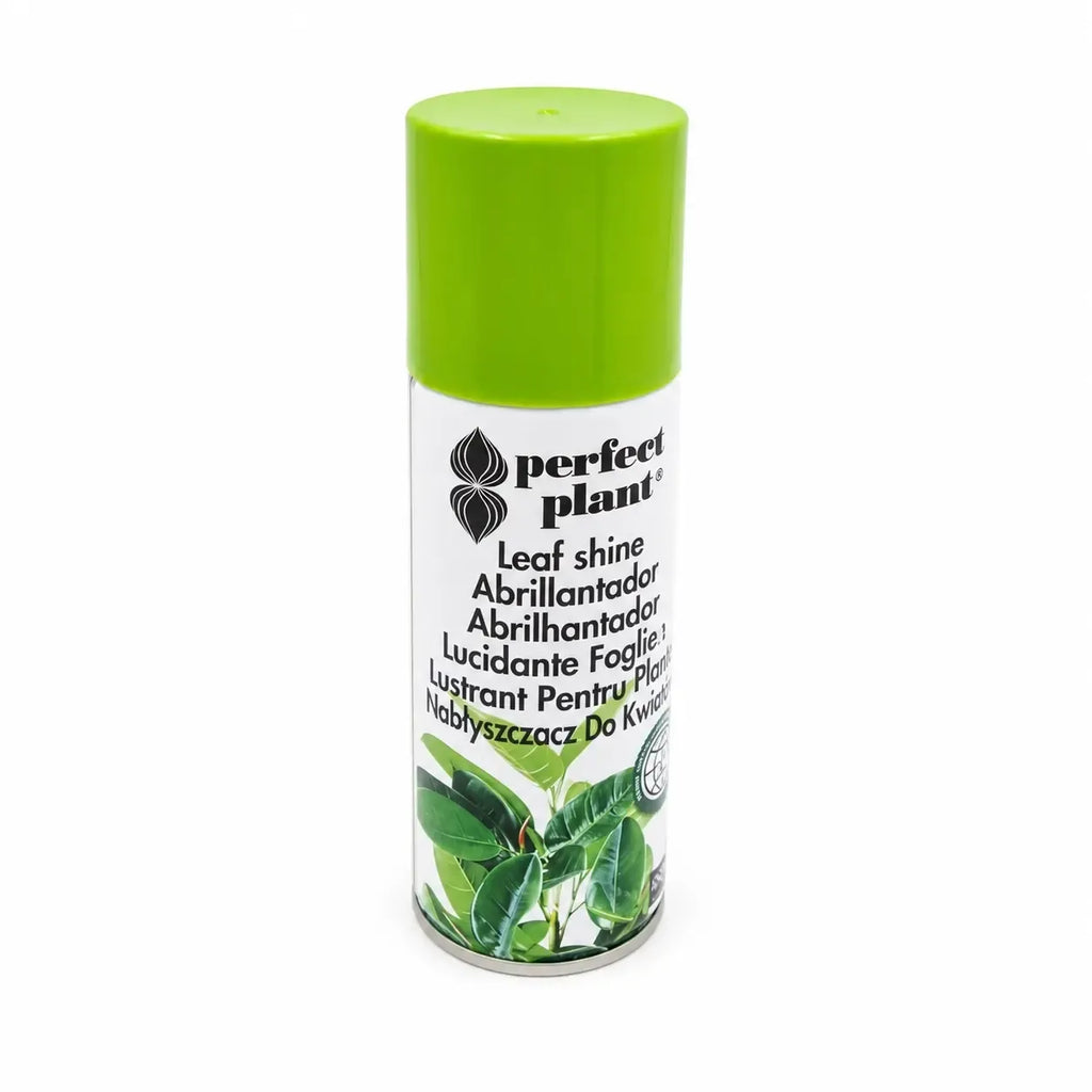 Augalų lapų blizgiklis „Perfect Plant“ 200 ml, skaidrus skystis, naudojamas lapų blizginimui ir apsaugai nuo dulkių.