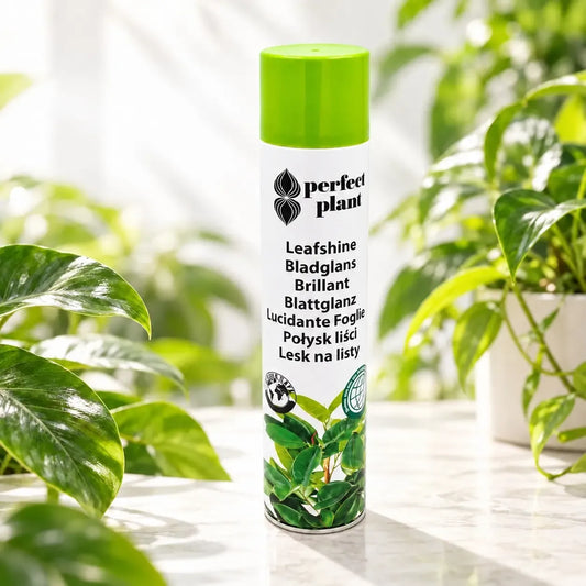 Augalų lapų blizgiklis „Perfect Plant“ 750 ml, skaidrus skystis, naudojamas augalų lapų blizgesiui ir švarai.