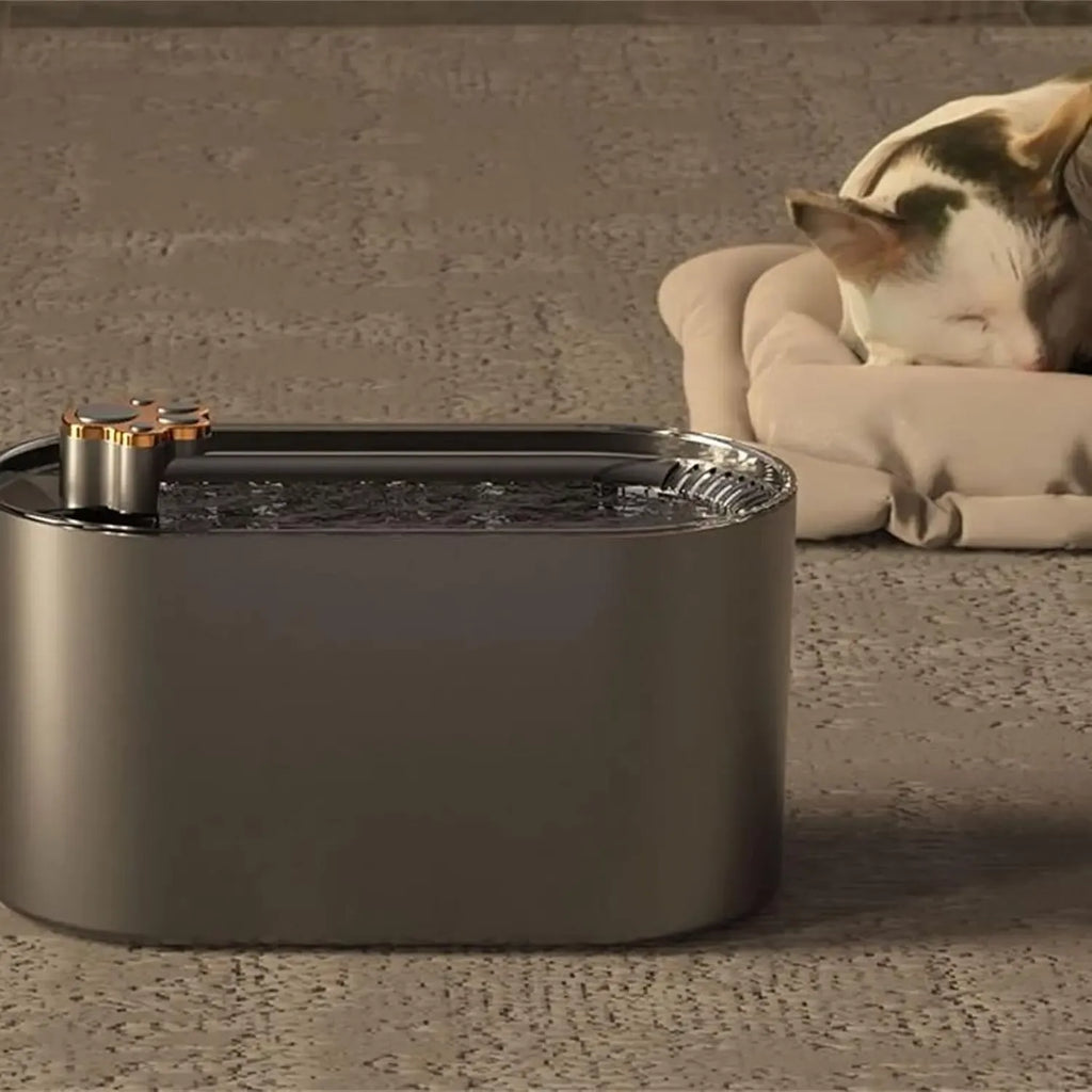 Automatinė 3 l augintinio gertuvė su vandens filtravimo sistema, patogus ir švarus geriamojo vandens šaltinis namams