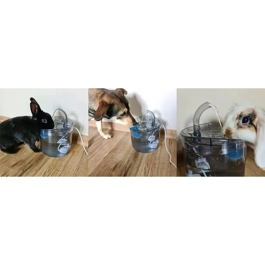 Automatinė šunų ir kačių gertuvė-fontanas su filtru, skirta švariam ir šviežiam vandeniui gyvūnams.