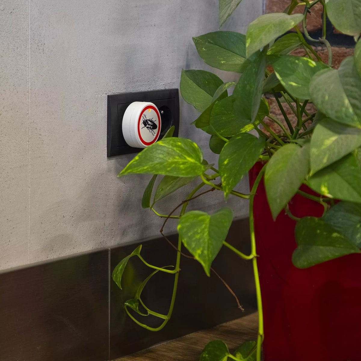 Elektriline putukatõrjeseade