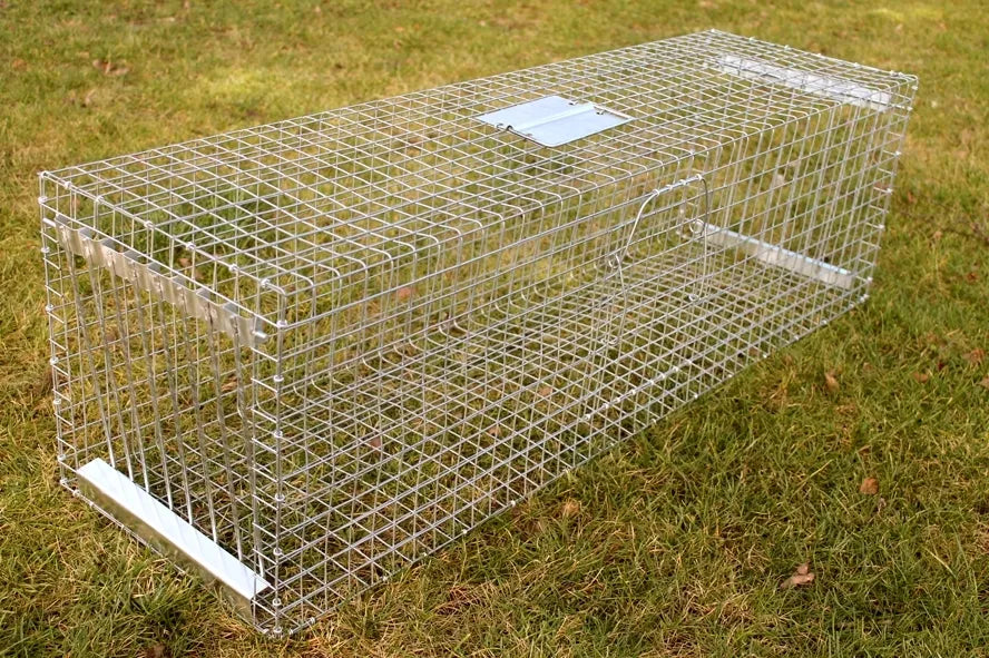 Linnupüünis 102x30x30 cm