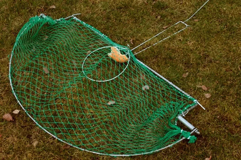 Lõks lindudele ja jänestele
