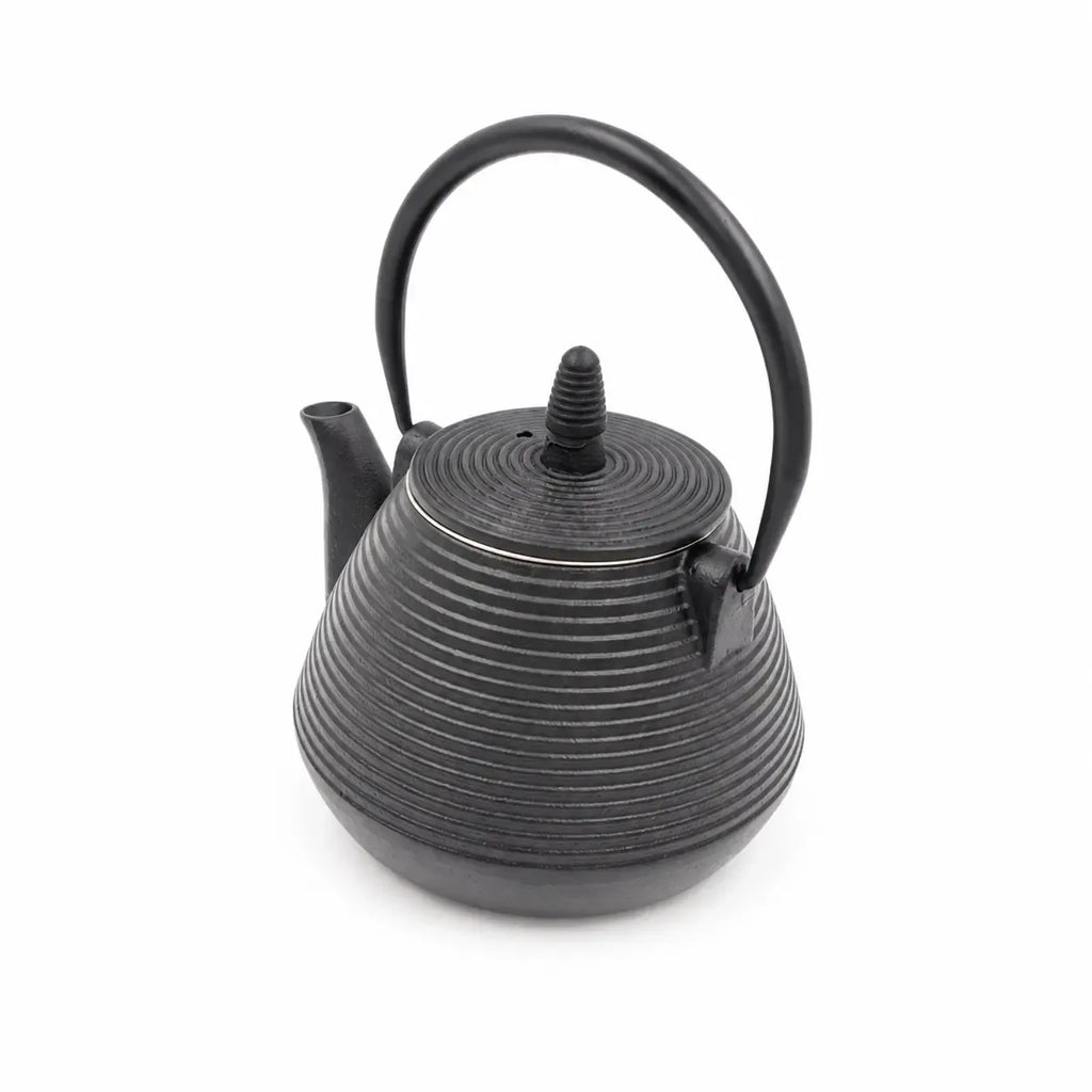 Ketaus arbatinukas su metaliniu sieteliu TR2309, tradicinis ir patvarus arbatos virimo indas su išsamia rankena.