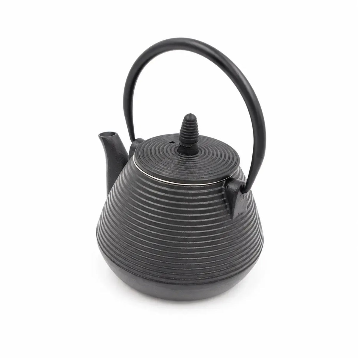 Ketaus arbatinukas su metaliniu sieteliu TR2309, tradicinis ir patvarus arbatos virimo indas su išsamia rankena.