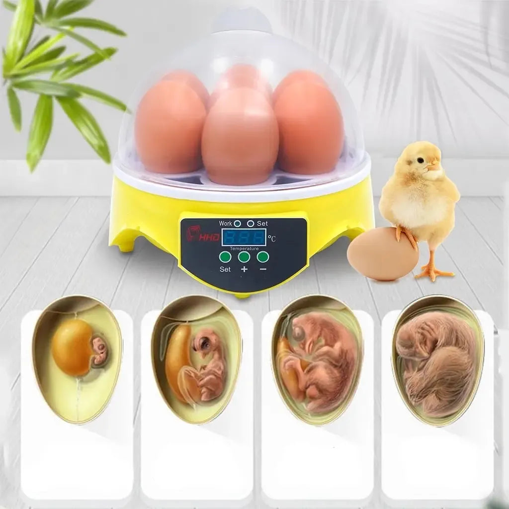 Mini kiaušinių inkubatorius 7 kiaušiniams su skaitmeniniu temperatūros valdymu, kompaktiškas ir patogus naudoti.