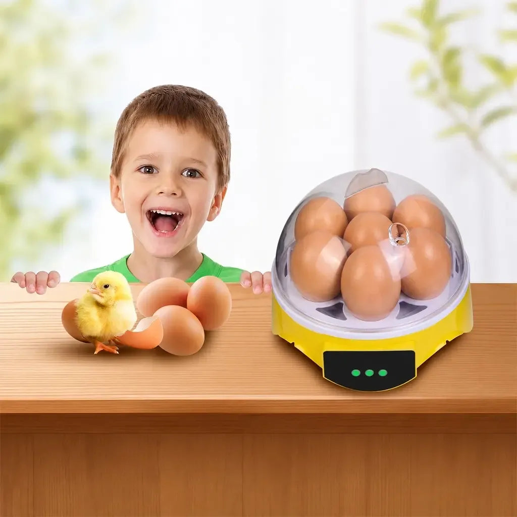 Mini inkubatorius 7 kiaušiniams su skaitmeniniu temperatūros valdymu, kompaktiškas ir patogus paukščių veisimui.