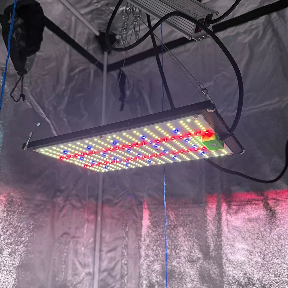 LED taimede paneel PROFI