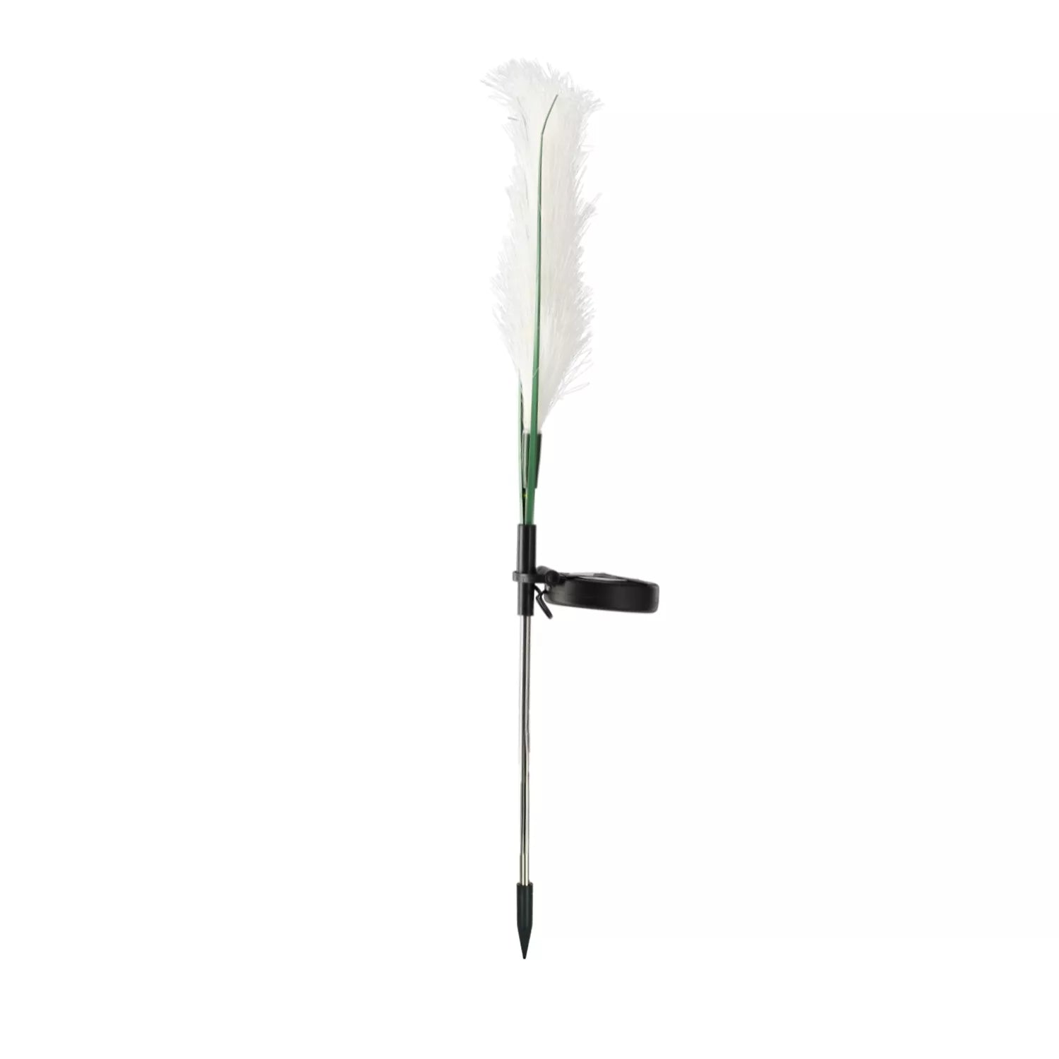 LED dekoratsioon „Pampinhein“, 70 cm