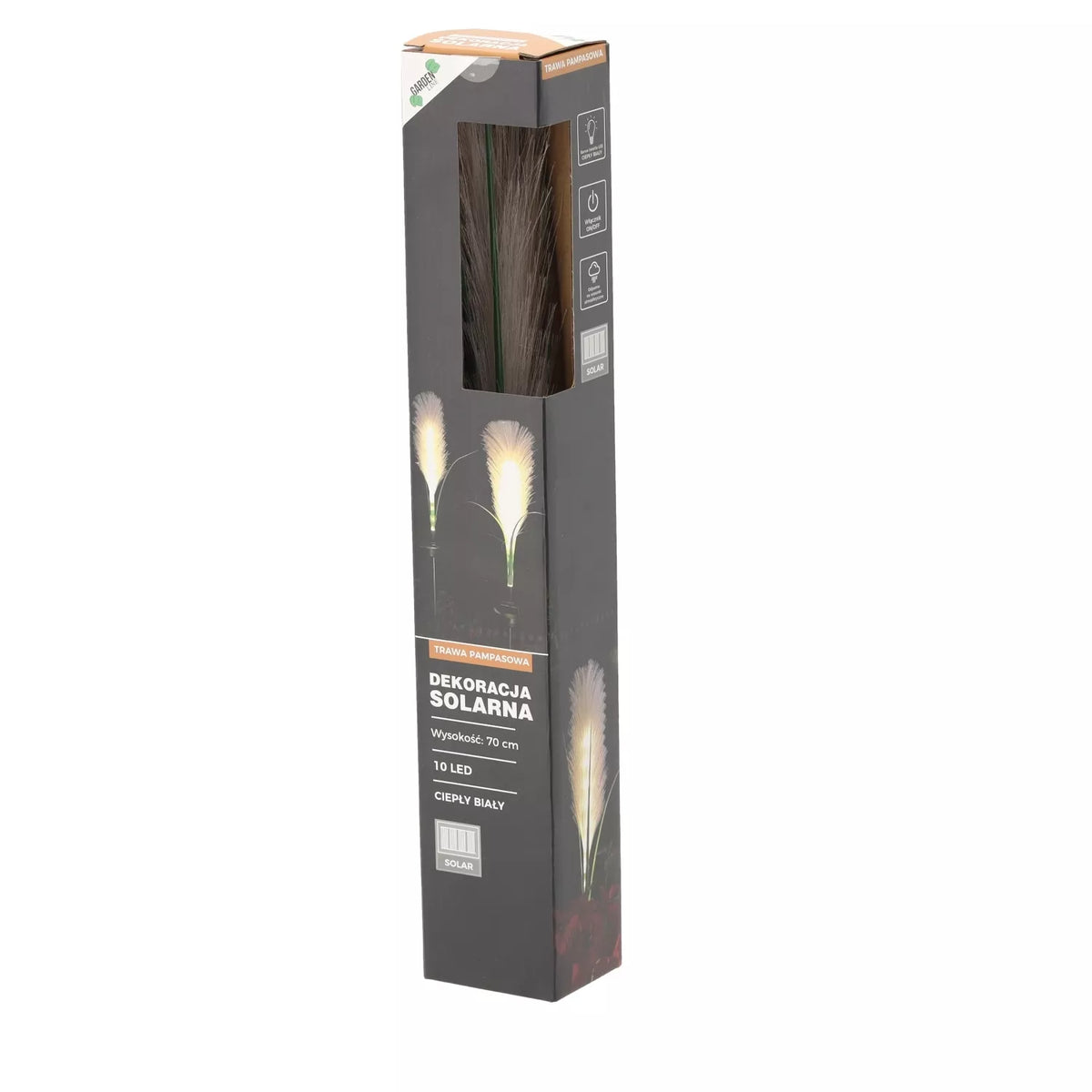 LED dekoratsioon „Pampinhein“, 70 cm