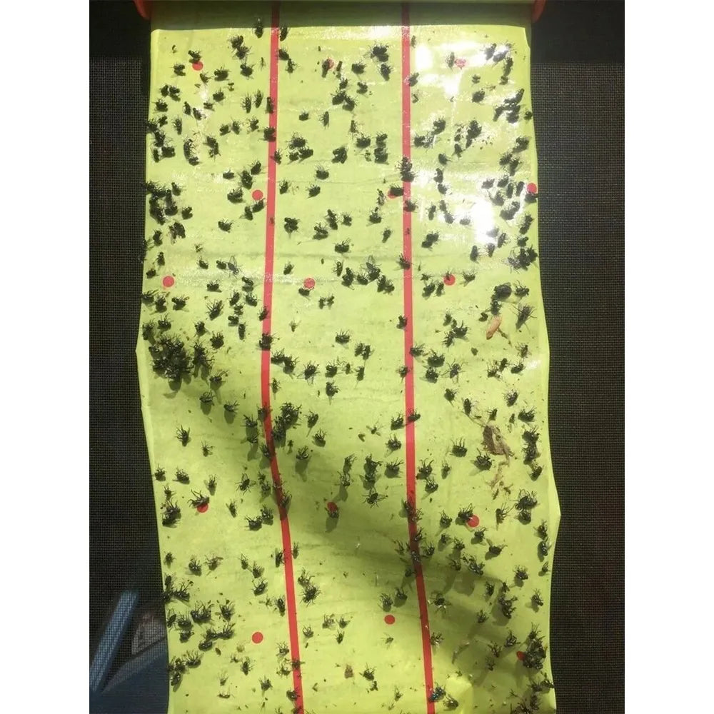 Kleepuv putukapüüdja (rull) 25 cm x 4 m