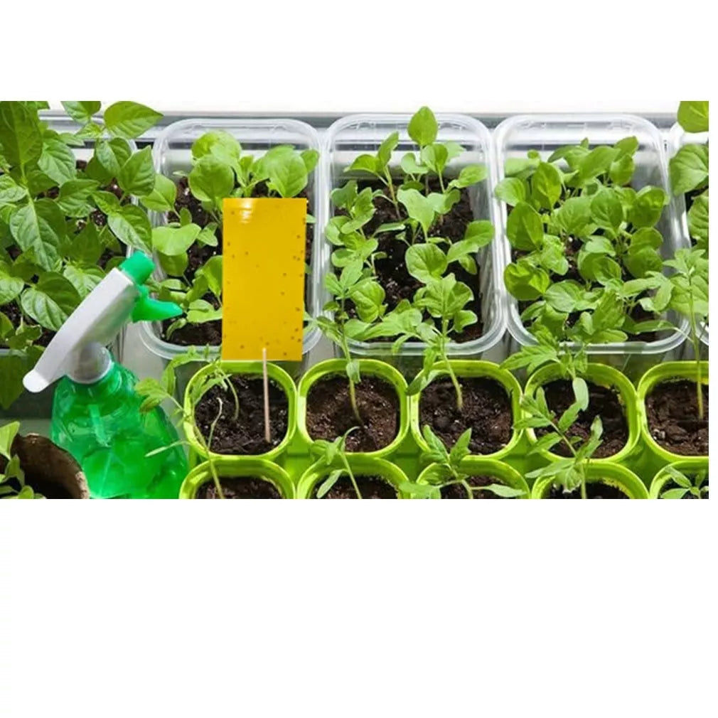 Magnet start kollane (7x14cm) valgekärbeste, lehetäide ja lehetäide püünised, 12 tk