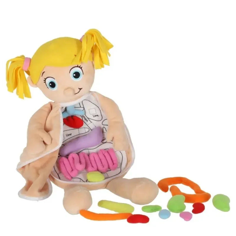 Mokomoji minkšta lėlė su išimamais žmogaus organais, naudojama mokymuisi ir edukacijai, rankomis ir detalėmis.
