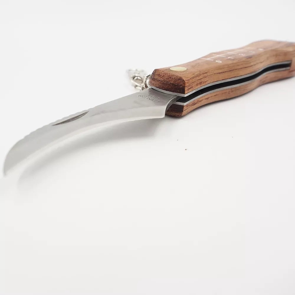 Grybautojo peilis XLINE su šepetėliu ir dėklu, tvirtas ir patogus grybių rinkimui, juodas metalinis peilis su raudonomis detalėmis