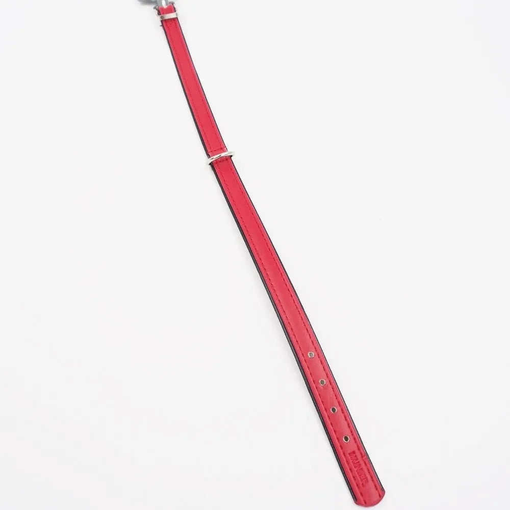 Raudonas odinis šunų antkaklis Hunter, 28-33,5 cm, patogus ir tvirtas, skirtas šunų kasdieniam naudojimui.