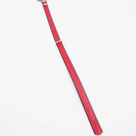 Raudonas odinis šunų antkaklis Hunter, 28-33,5 cm, patogus ir tvirtas, skirtas šunų kasdieniam naudojimui.