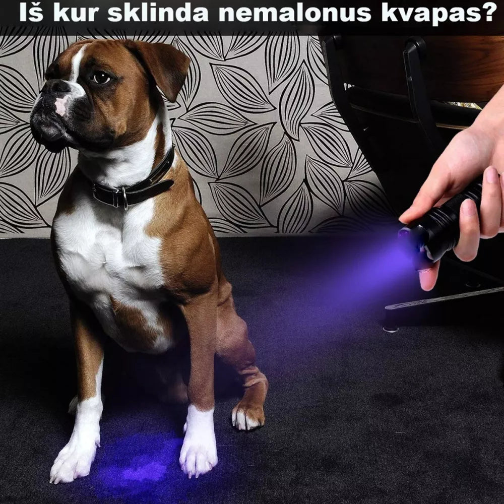 UV spindulių prožektorius su 9 LED diodais, ultravioleto šviesa, naudojamas patalpų ir lauko apšvietimui.