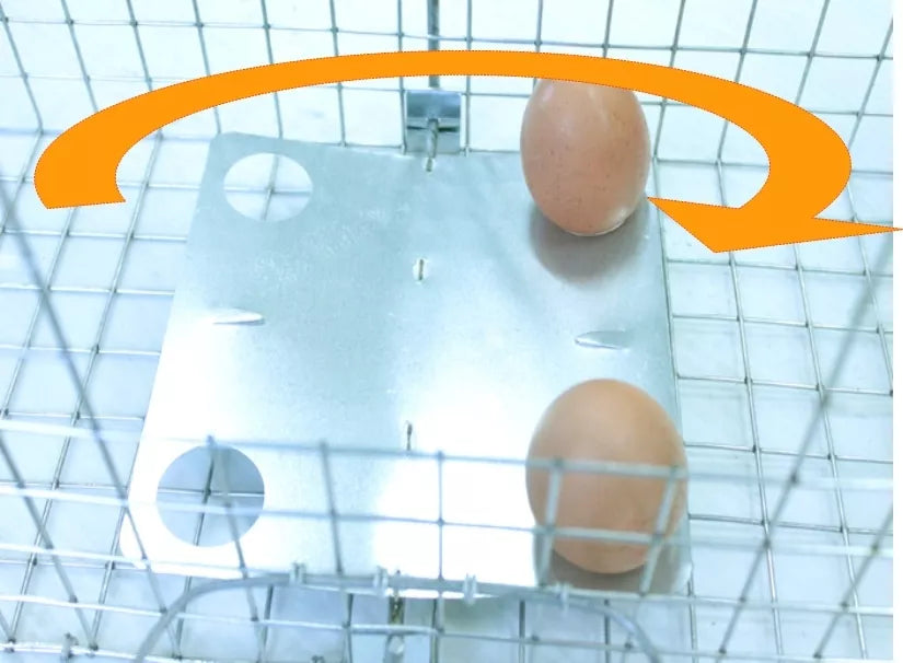 Narva, püünis 150x29x31 cm