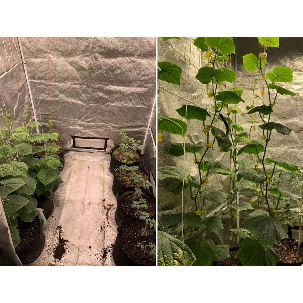 Taimedele mõeldud telk "Grow tent"