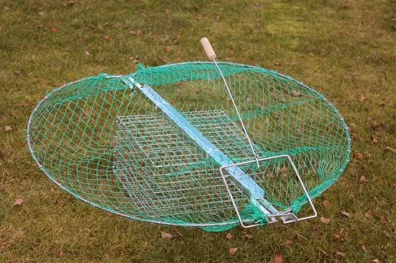 Linnupüünis koos söödakaameraga