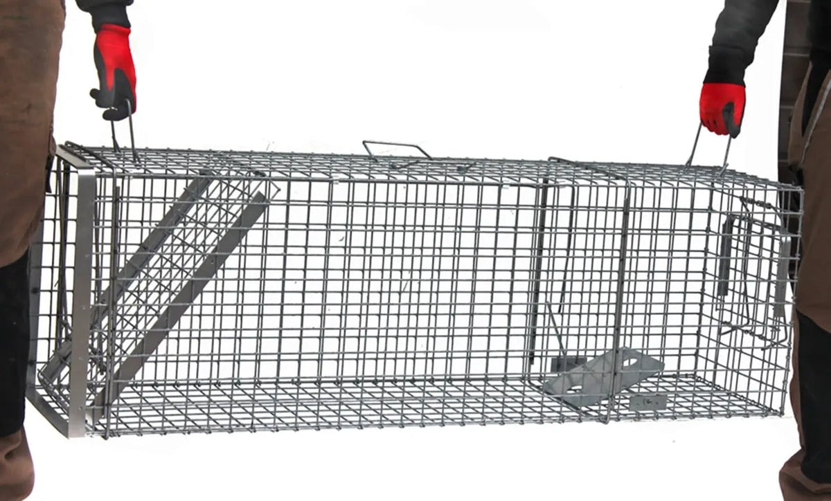 Professionaalne püügipuur 120x34x34 cm, kaks sissepääsu