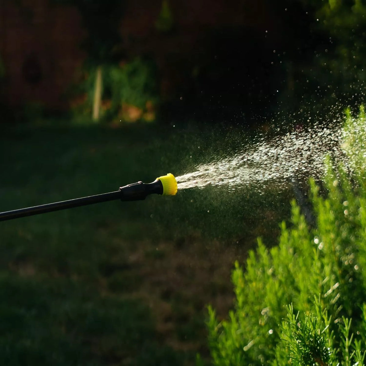 Käsitsi kantav aiaprits 12 l