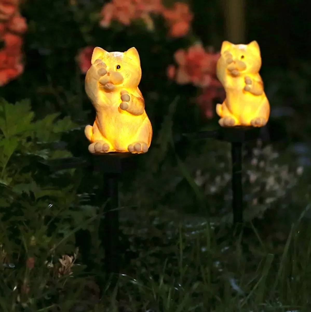 Päikese LED lamp "Kass"