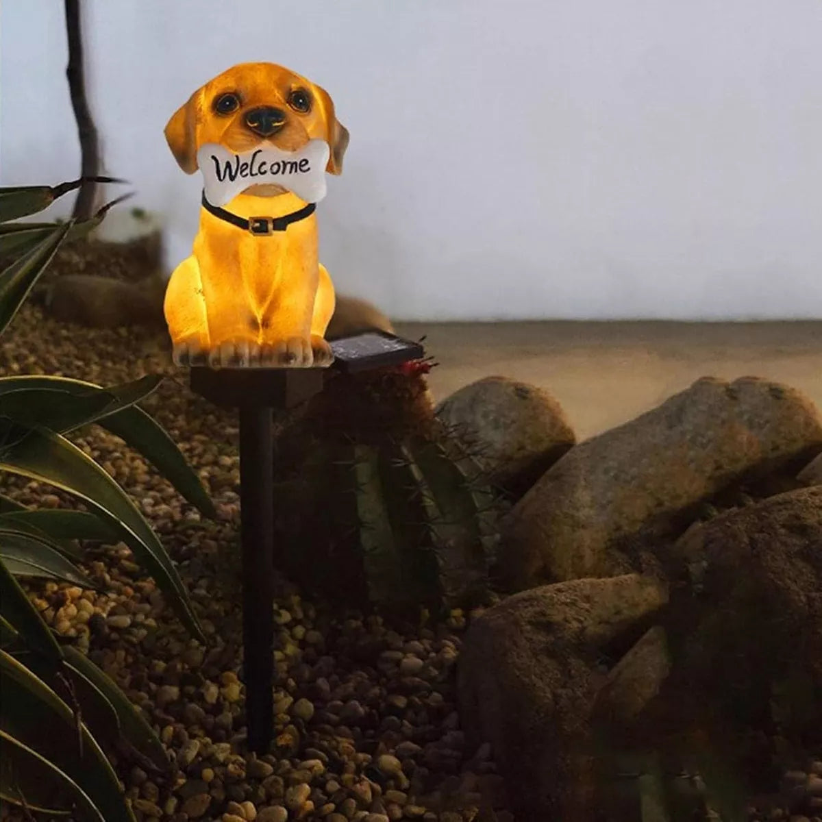 Päikese LED lamp "Koer kondiga"