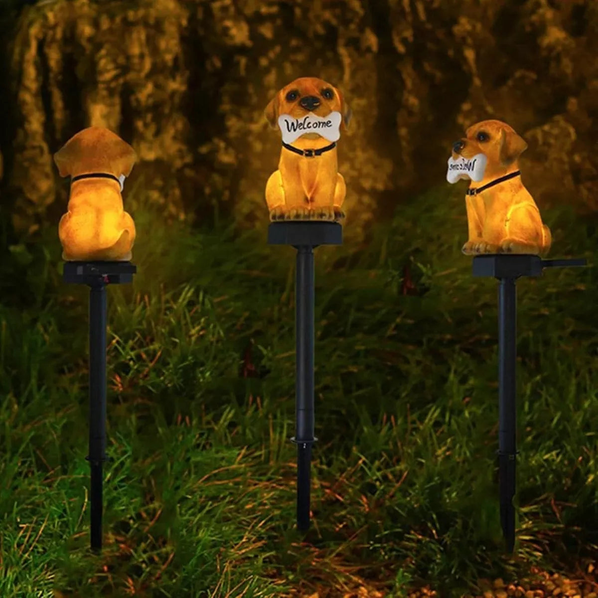Päikese LED lamp "Koer kondiga"
