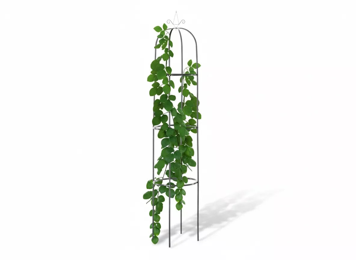 Aia pergola obelisk (sambakujuline) 40 × 40 × 190 cm