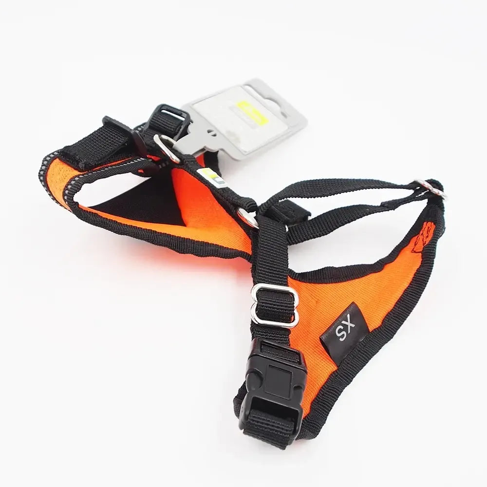 Oranžinės Hunter XS dydžio petnešos šunims, patogios ir tvirtos, matomos iš arti, su reguliuojamomis dirželio detalėmis.